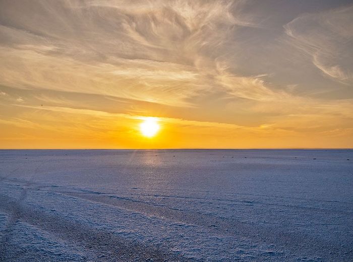 The Ultimate Guide to the Great Rann of Kutch: Where the Earth Meets the Sky